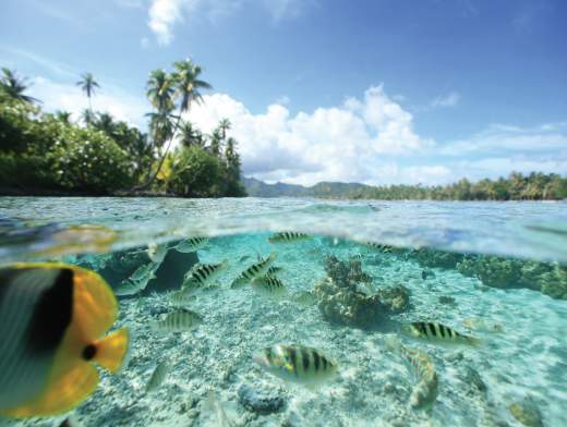 Формула 'Суша и море' в Полинезии