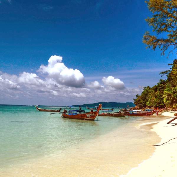 Bamboo Island