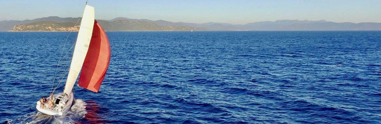 Общий план синего моря с небольшой волной и чистым небом с берегом на горизонте, на переднем плане слева продвигается парусник с красным спинакером